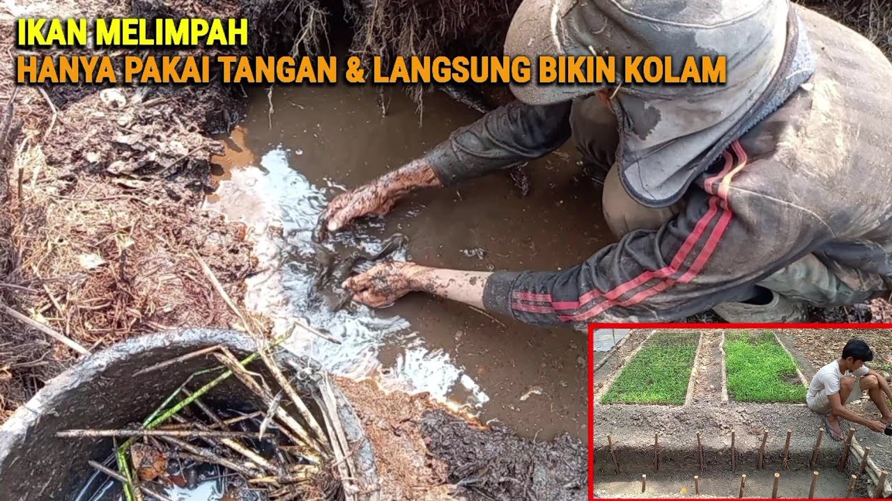 Real Tangkap ikan liar pakai tangan, Ngopi santai bikin kolam mini, kehidupan dihutan CHR-61