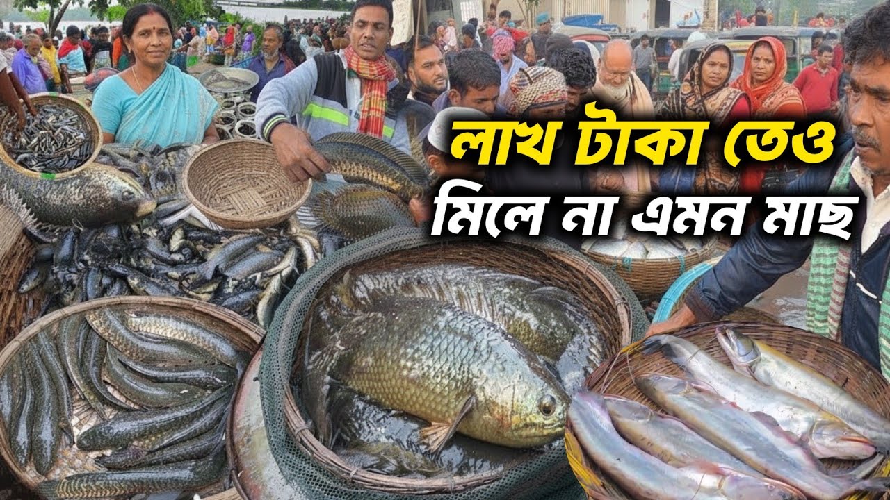 টাকা থাকলেই এমন মাছ পাওয়া যায় না।। দুবলী বাজার, দোহার।। Amazing  Fishing video.