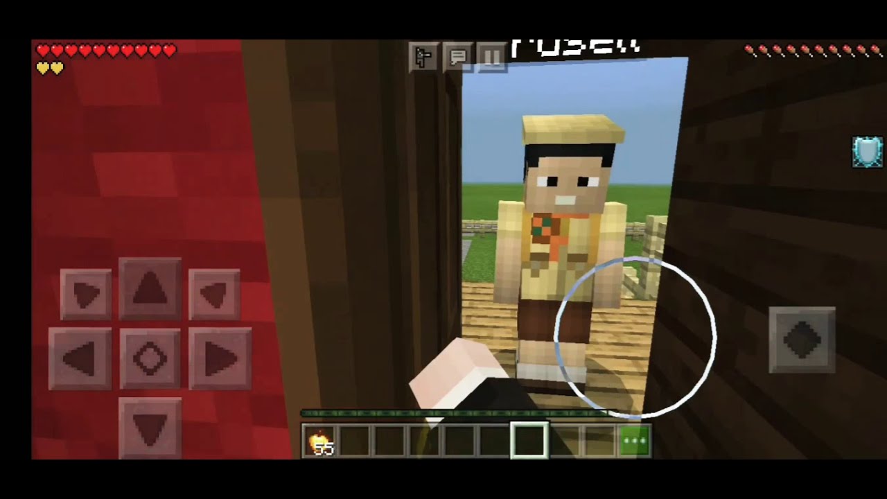 Pelicula de up versión minecraft