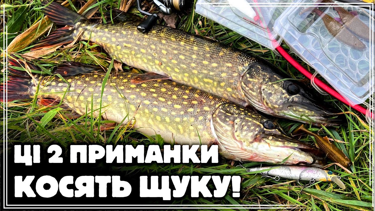 ✅️ ДВІ ПРИМАНКИ, які РОЗРИВАЮТЬ ЩУКУ 🐊 СКРІЗЬ‼️ОСІННІЙ ЖОР КРУПНОЇ ЩУКИ нарешті РОЗПОЧАВСЯ🔥🔥🔥
