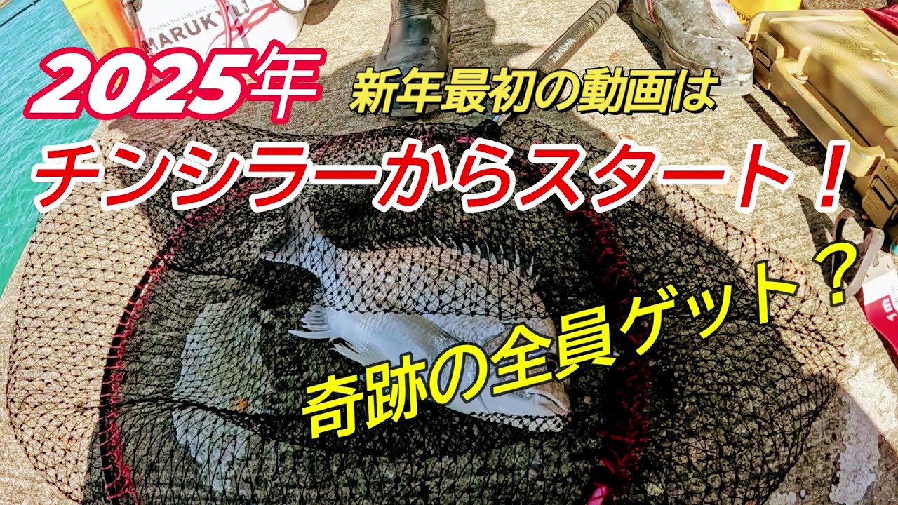 新年最初の動画はチヌ界最強のチンシラー！【沖縄釣り】