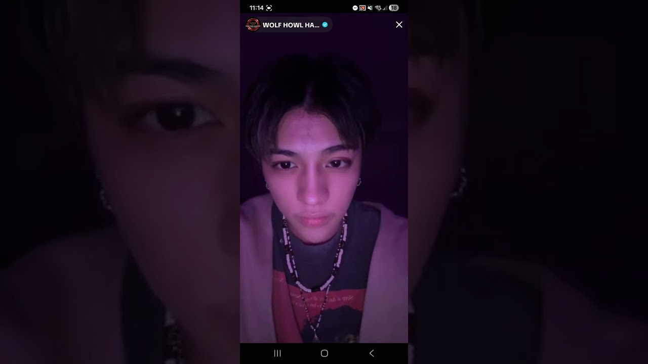 Tiktok live wolf howl harmony 18.01.2026 #whh #jpop #ghee