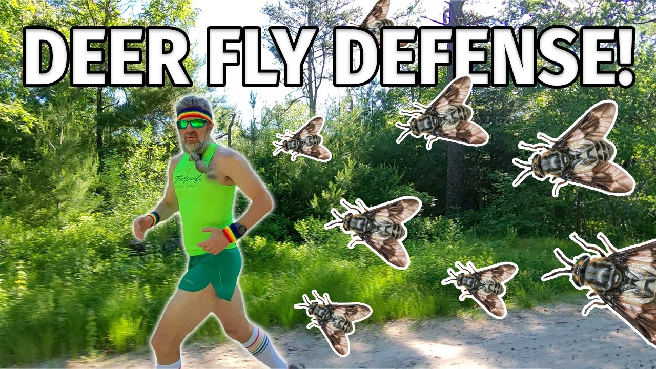 Trail Running Tips to STOP Deer Flies
