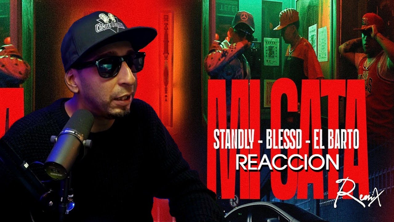 MI GATA REMIX 😼 (REACCION) - BLESSD ❌ STANDLY ❌ EL BARTO