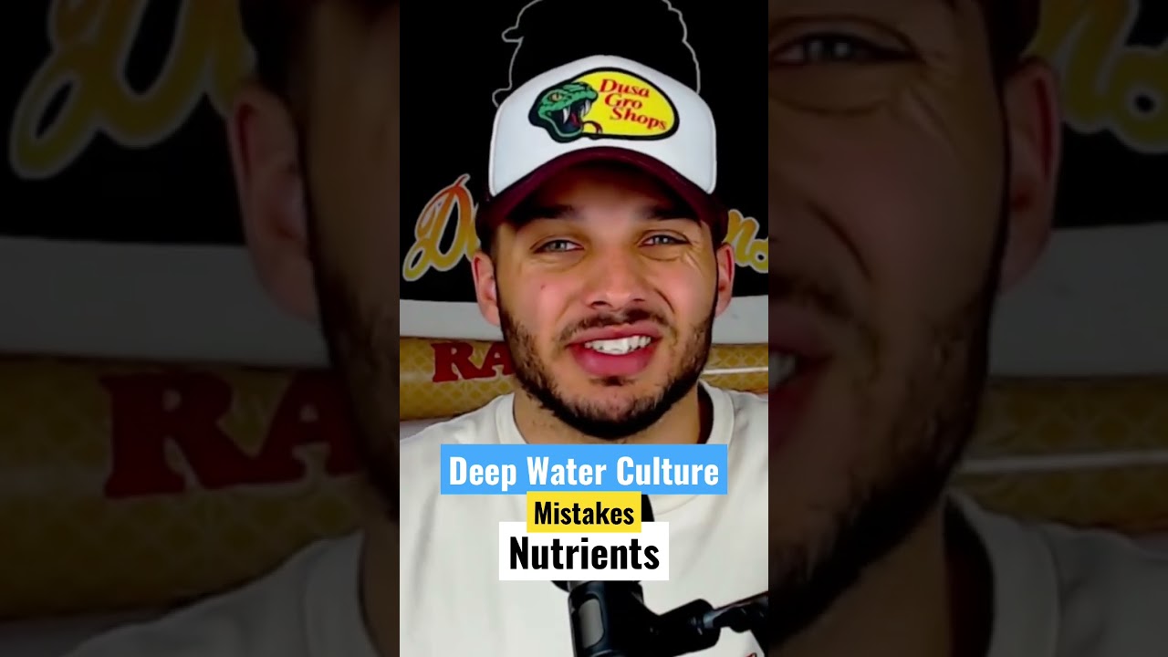 Nutrient mistakes in DWC #plants #dwc #hydroponics