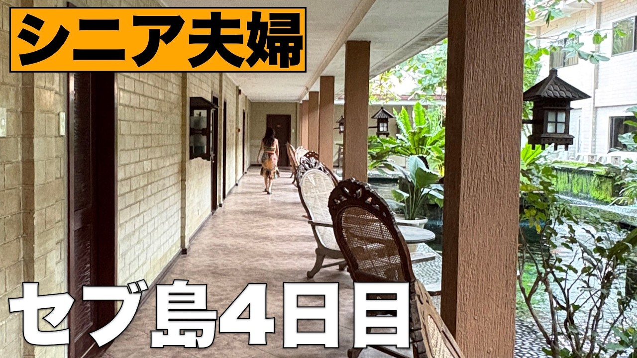 2026セブ島で人懐っこい猫とホテル生活4日目 CEBU WHITE SANDS RESORT AND SPA