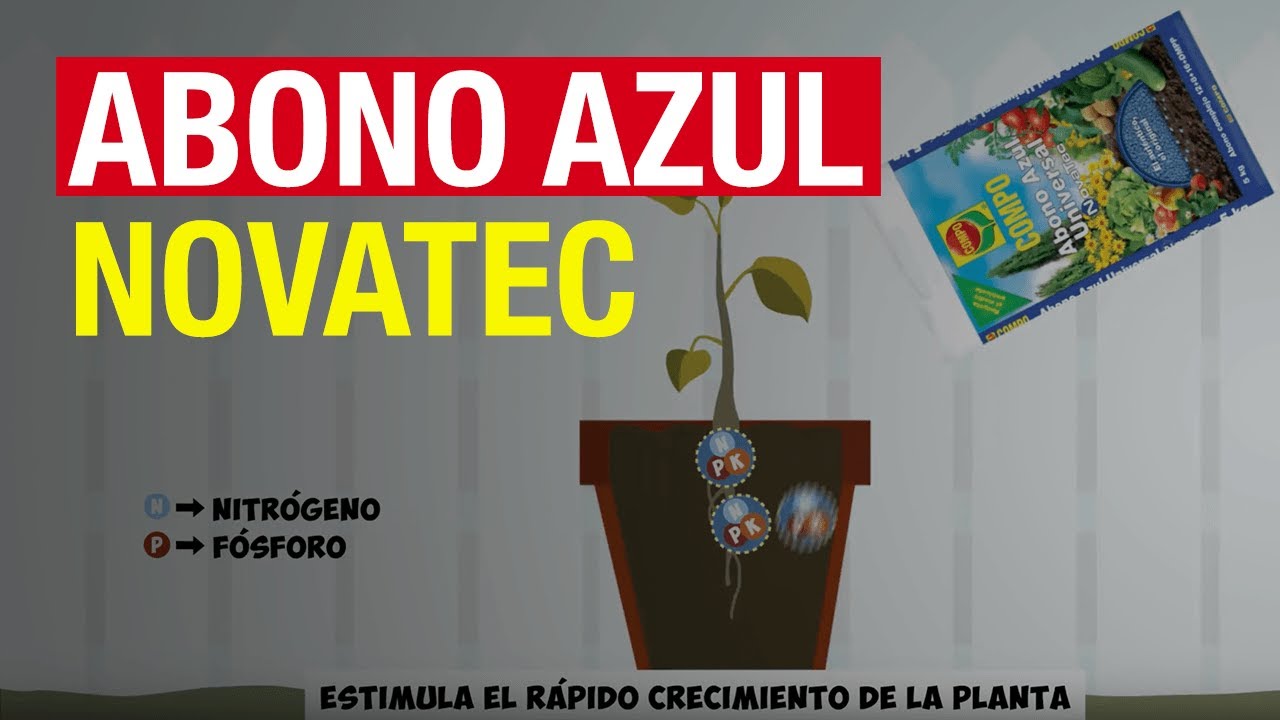 Abono Azul Novatec - COMPO Jardinería