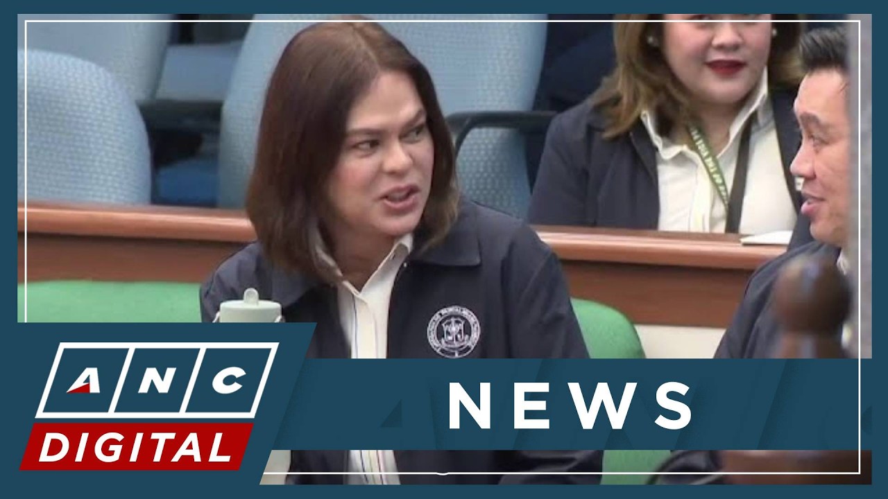 Pro-Sara? Erice denies supporting VP Sara, says he opposes drug war | ANC
