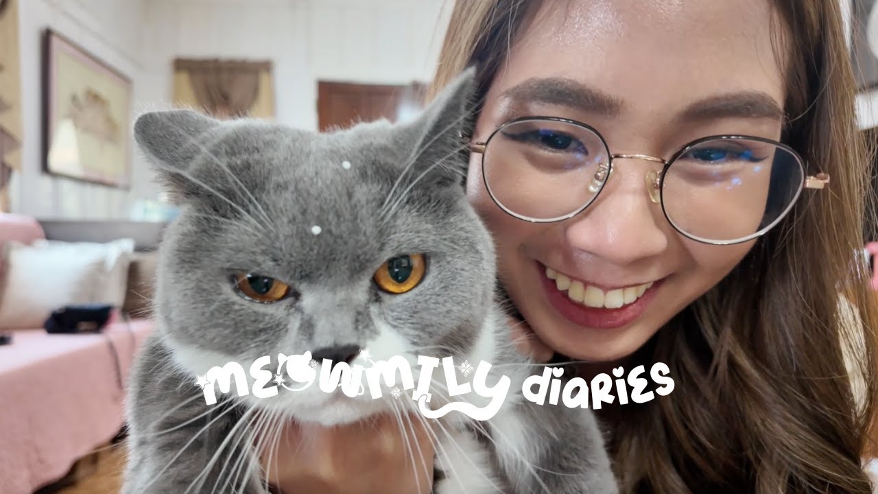 Meowmily Diaries | Unboxing Cat Essentials from Curious Pets