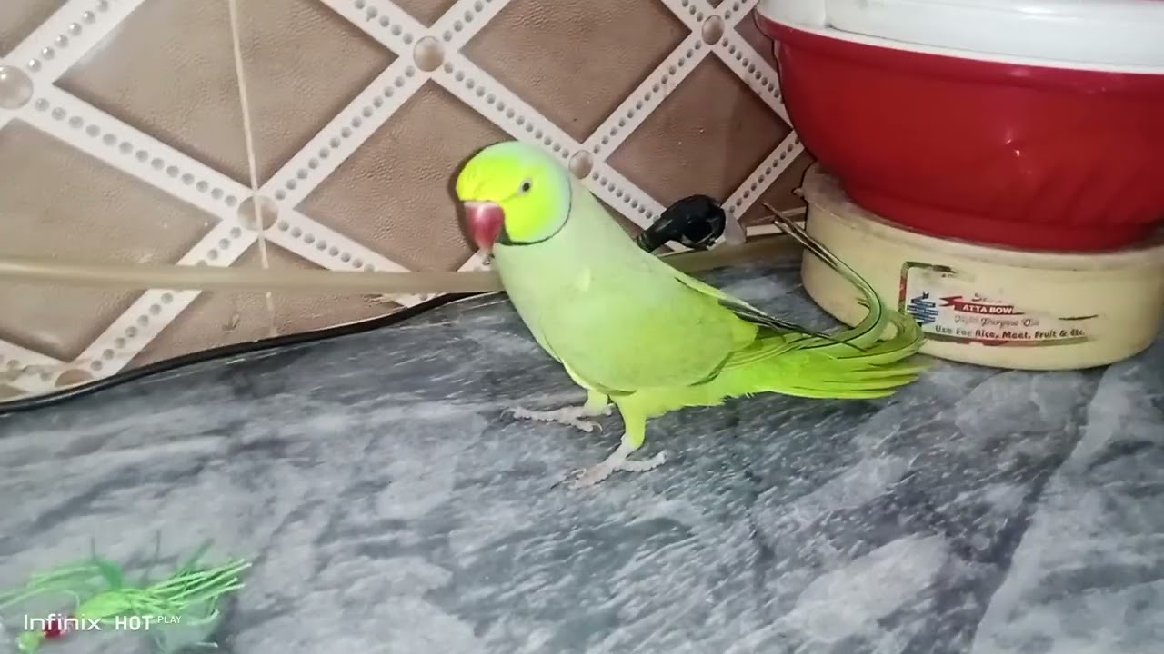 ##😍😍😍##