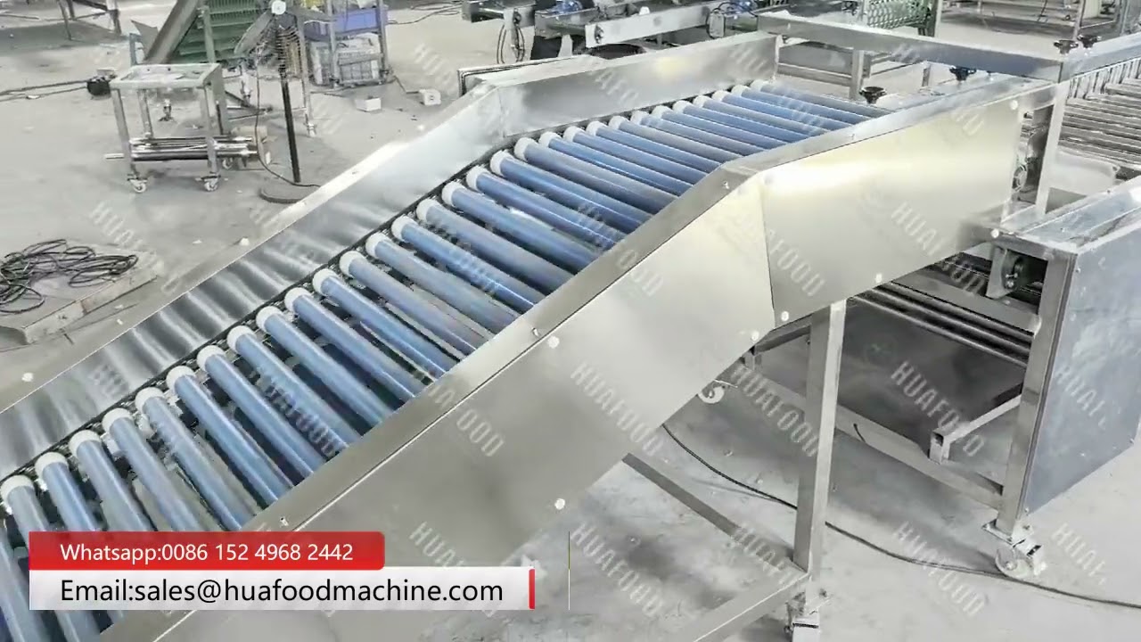 Roller Bar Type Fruit Sorting Grading Machine Price
