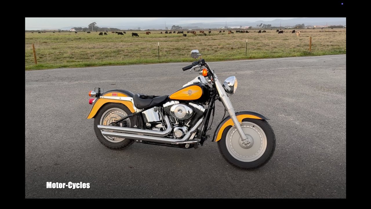 Cobra Speedster Slashdown Exhaust Harley-Davidson Fat Boy Sound