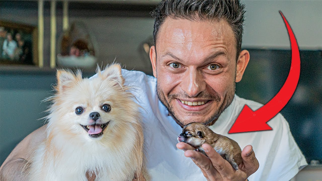 YENİ YAVRU KÖPEĞİMİZ!