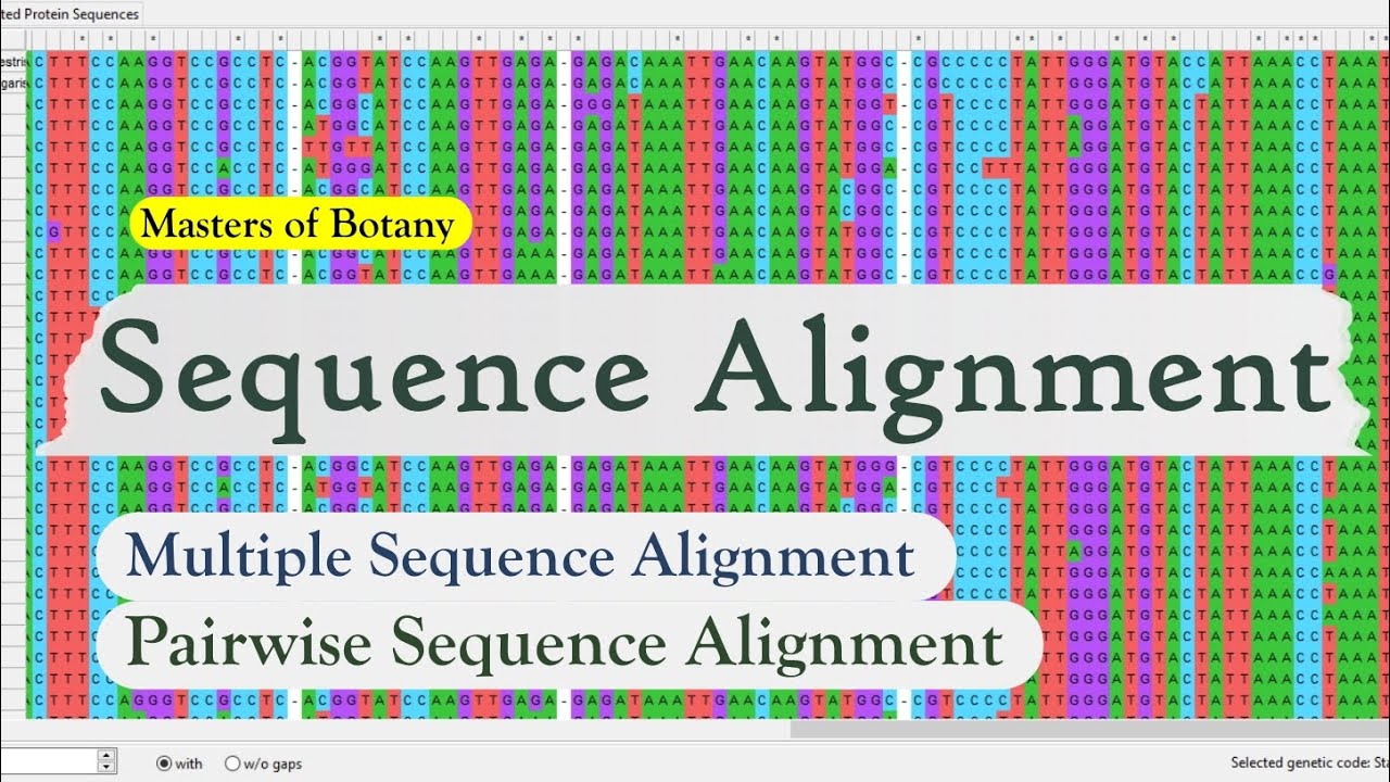 Bioinformatics | Sequence Alignment: Pairwise and Multiple Sequence Alignment