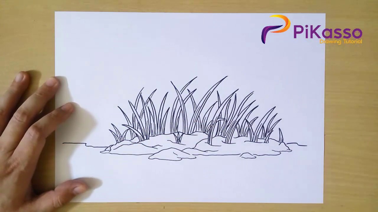 How to Draw Grass step by step