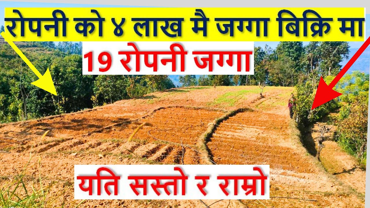 sasto 19 ropani jagga bikri ma aayo 