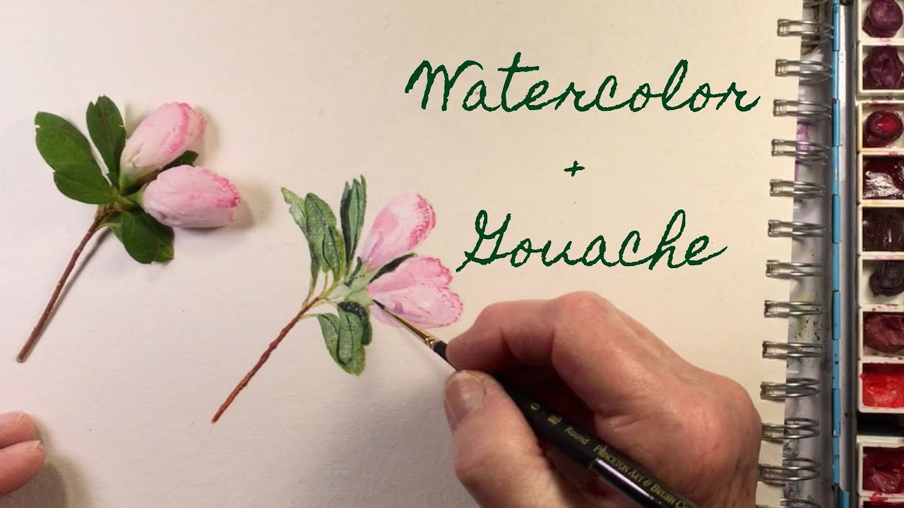 Flower Bud Watercolor and Gouache Painting Tutorial speedpaint