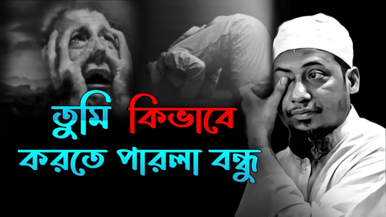 তুমি কিভাবে পারলা যুবক | আনিসুর রহমান আশরাফি |Anisur rahman ashrafi | Ummah point of view 