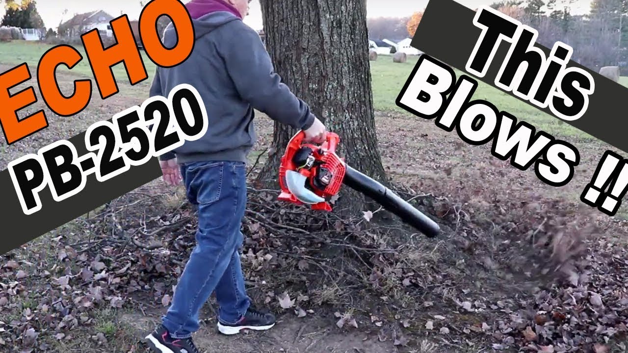 Echo PB-2520 handheld leaf blower Unboxing Setup Review