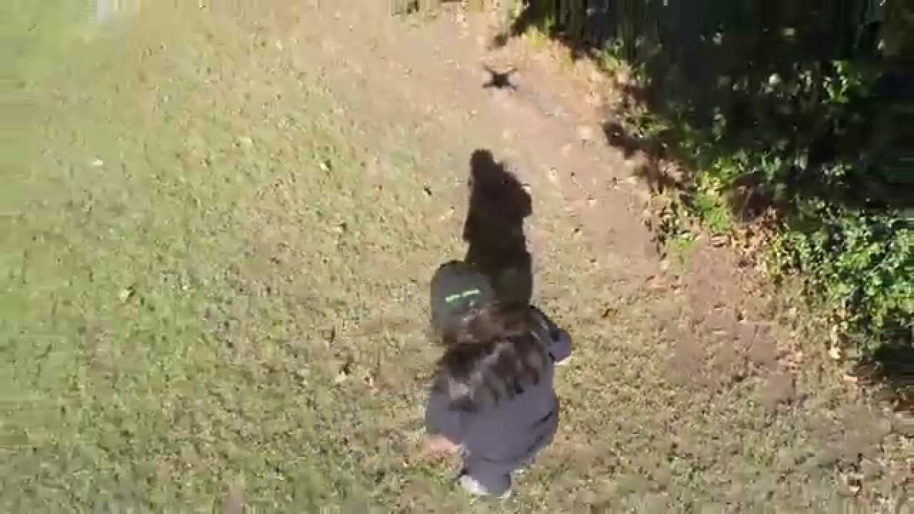 It was an accident. Really.