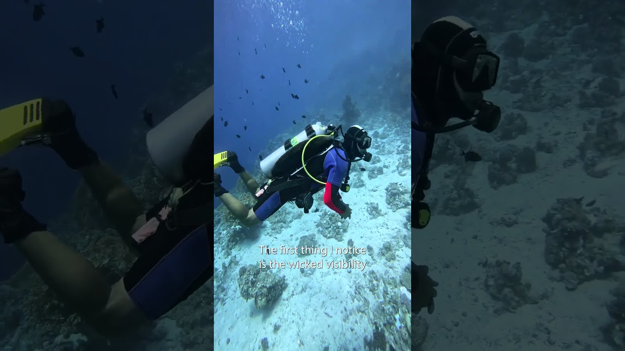 Diving in Egypt for the First Time! #redsea #sharmelsheikh #diving