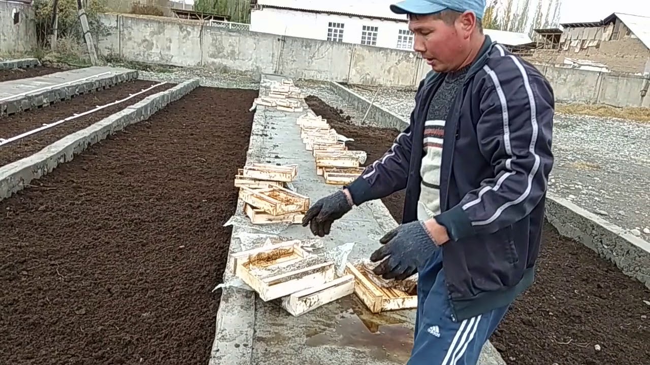 Рустамбанк чувалчангларини кўчириш