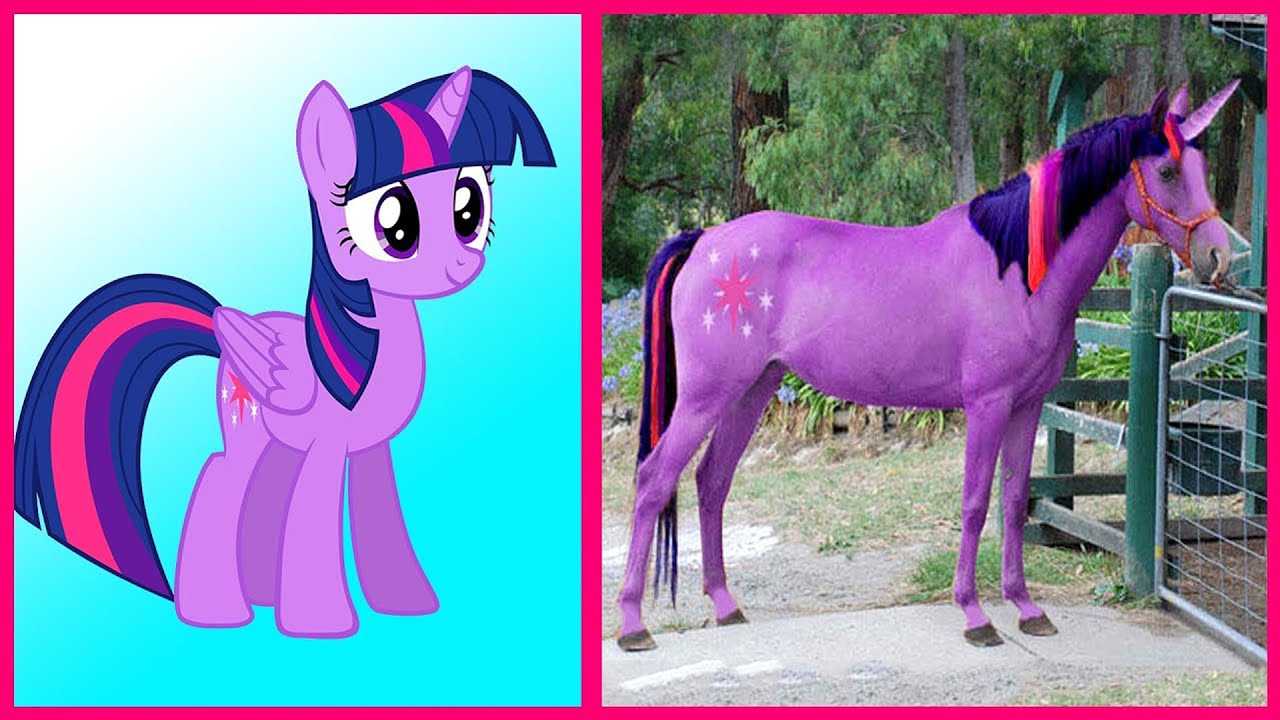 Mi Peque&ntilde;o Pony En La Vida Real | No Lo Creer&aacute;s 2024