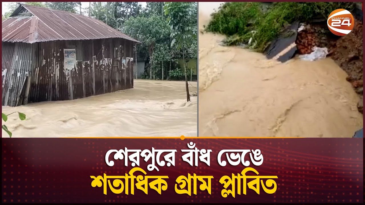 শেরপুরে বাঁধ ভেঙে শতাধিক গ্রাম প্লাবিত | Sherpur Flood | Channel 24