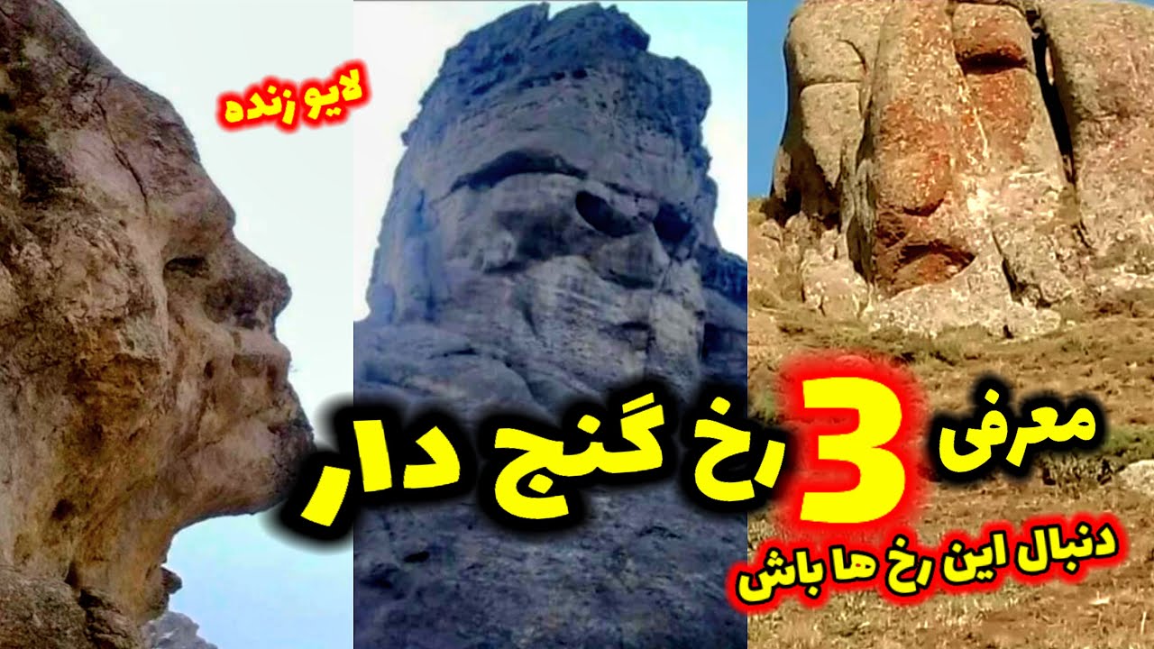 معرفی سه نمادرخ گنج دار