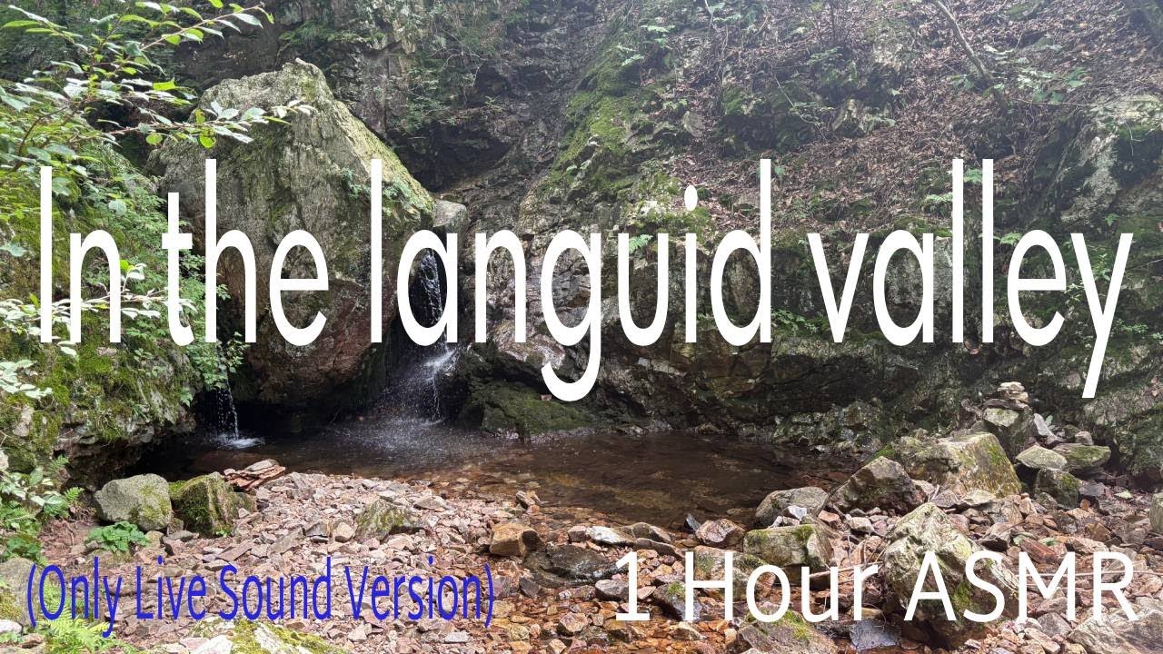 (Only Live Sound Version) 1 Hour ASMR  | In the Languid Valley 🌿 잠이 솔솔 오는 계곡의 빗소리 💤