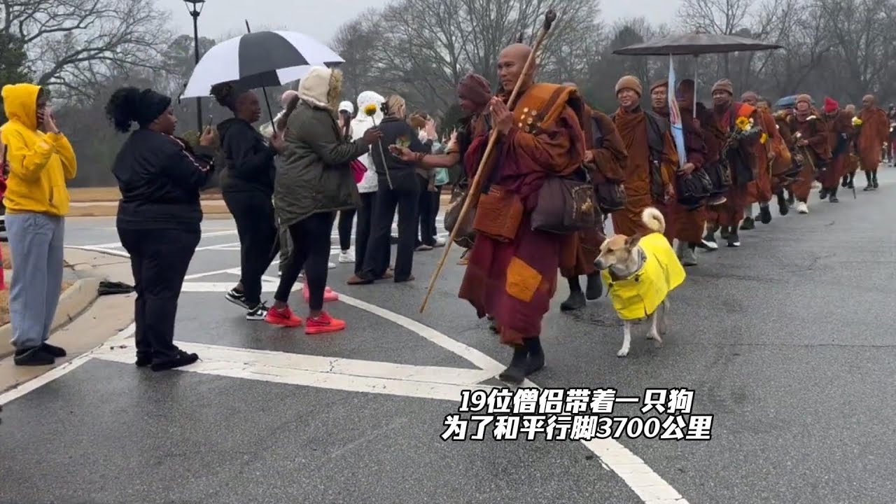 19位僧侣带着一只狗，为了和平行脚3700公里Nineteen monks undertake a 3,700-kilometer pilgrimage on foot for peace.