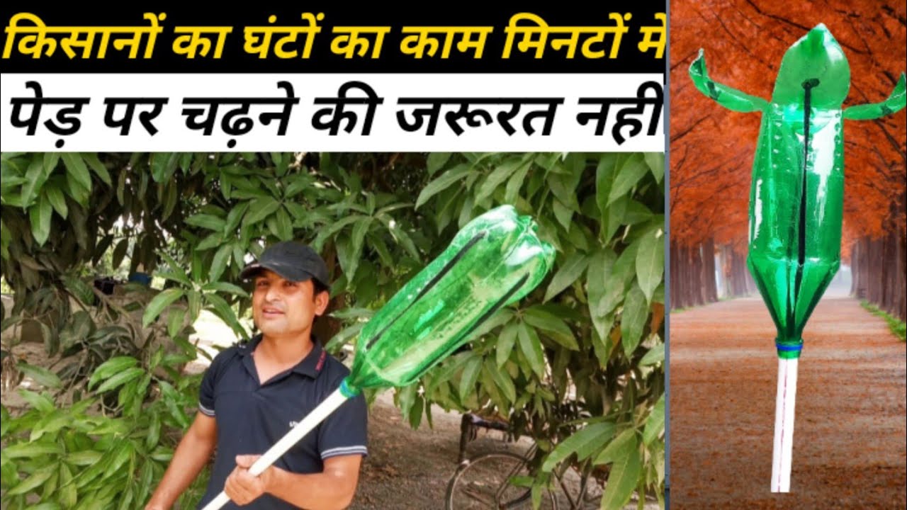 soft drink bottle वाला फलों को तोड़ने का बेहतरीन यंत्र | best used of softdrink bottle for farmers