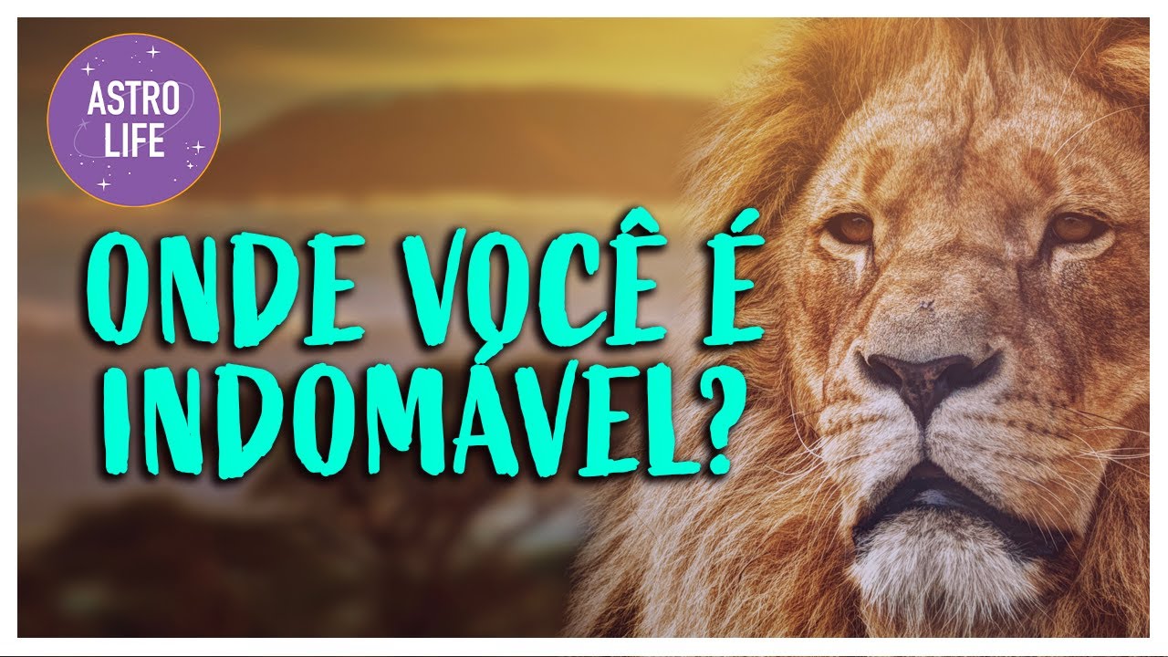 Descubra em qual &aacute;rea da sua vida voc&ecirc; &eacute; INDOM&Aacute;VEL