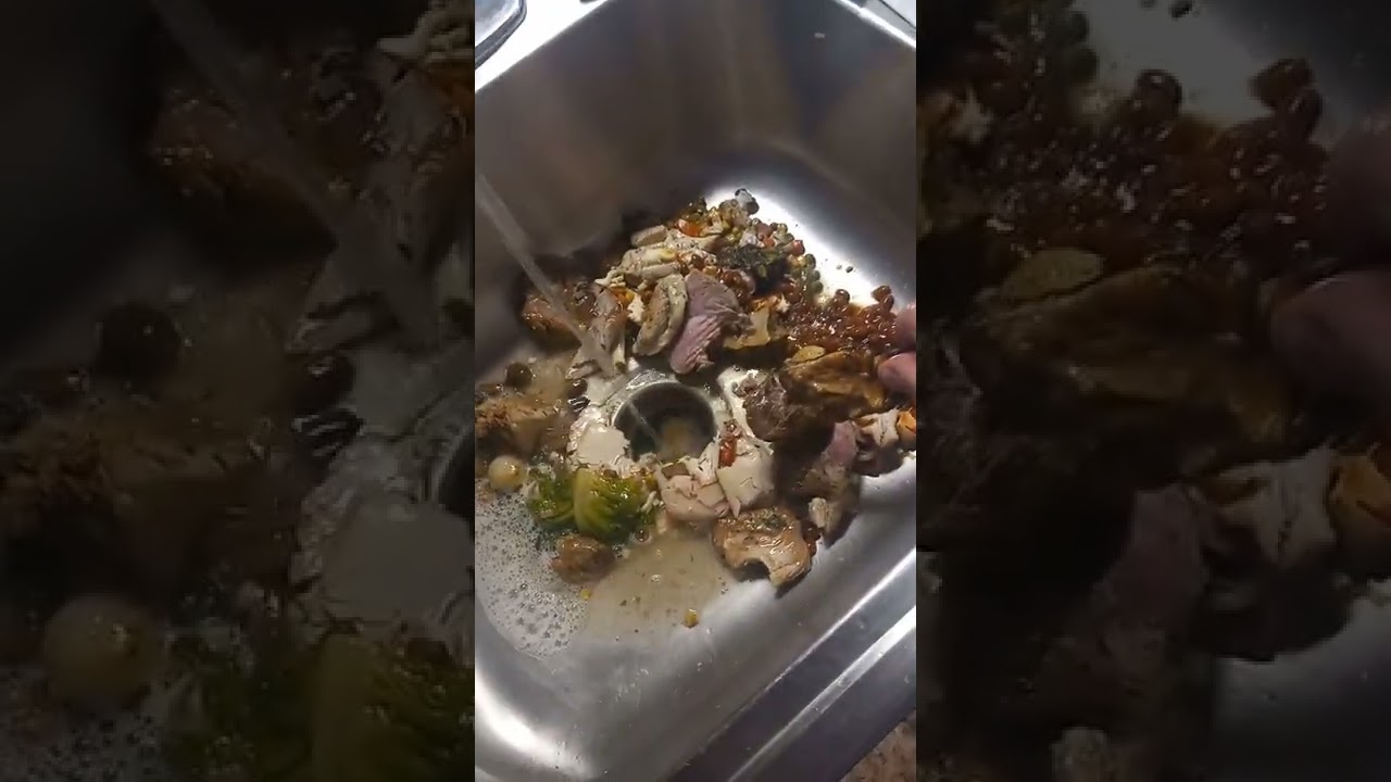 garbage disposal ASMR