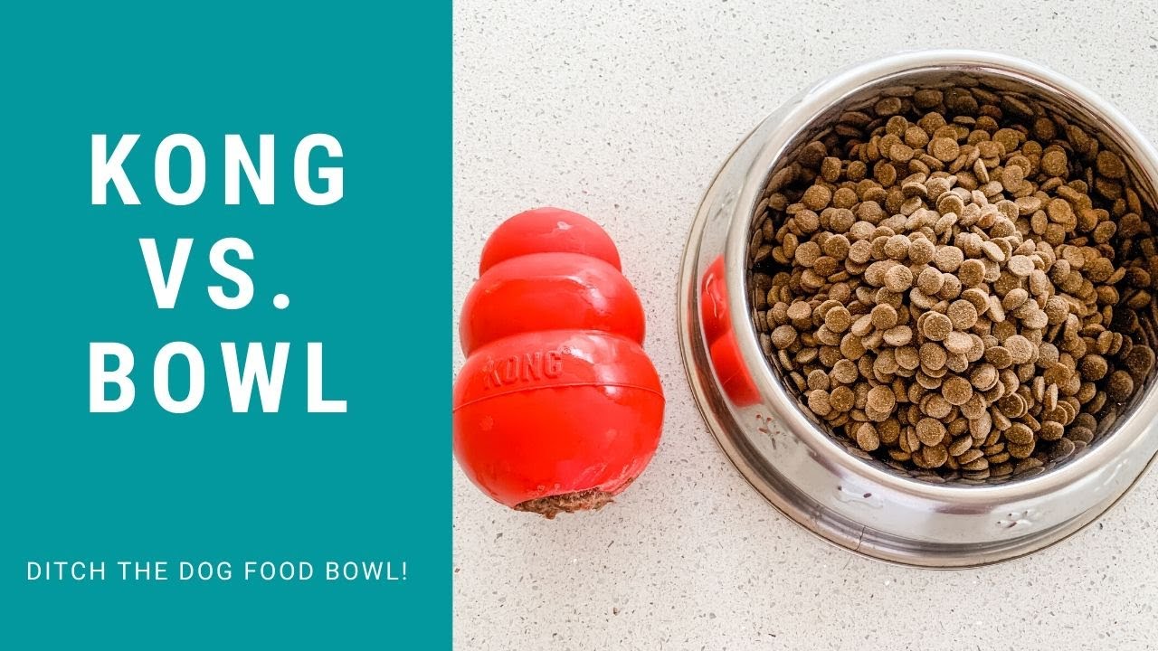 KONG vs. the dog food bowl