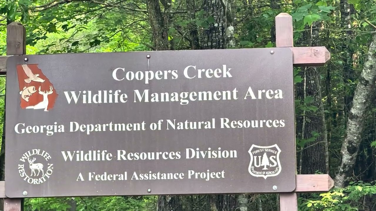 Coopers Creek WMA  campground