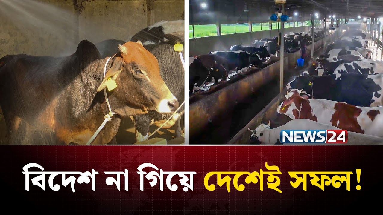 ২ গরু থেকে ৪ কোটি টাকার খামার | Cow Farm Success | NEWS24 Special