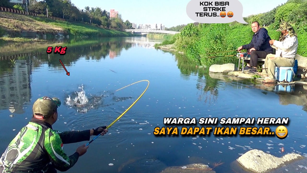 Heboh..! Saat mancing ikan nila dapat sebesar ini jadi tontonan pemancing lain
