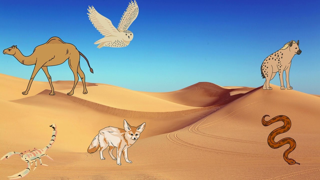 Sivatagi Állatok Dal | Gyerekeknek | Teve, Skorpió, Hiéna🐫🦂🐍