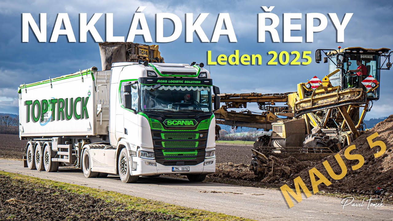 Lednová Nakládka řepy s ROPA Maus 5 | Cukrovar Litovel | Vapas  | Scania MAN Volvo Daf