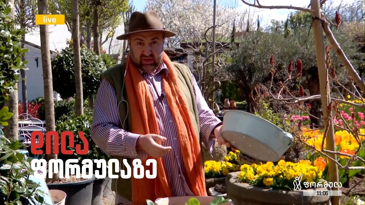 ზურა შევარდნაძე - გარდენია