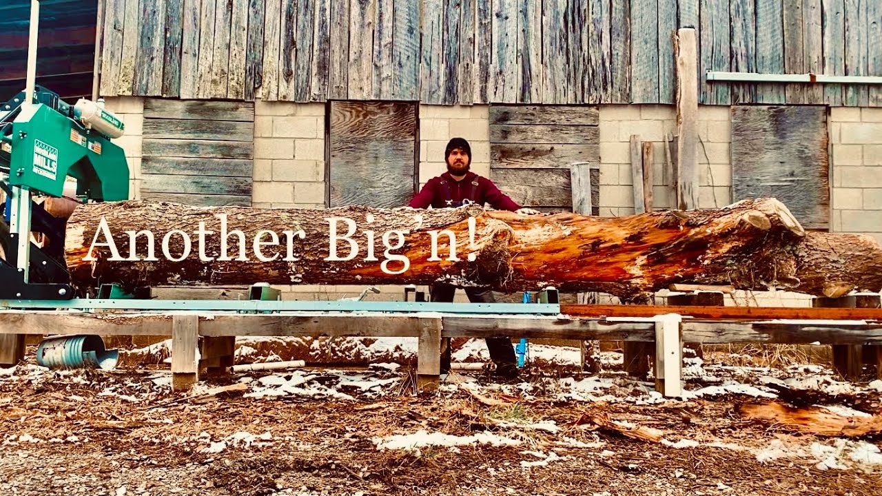 Потрясающая сосна на лесопилке! — Woodland Mills HM126