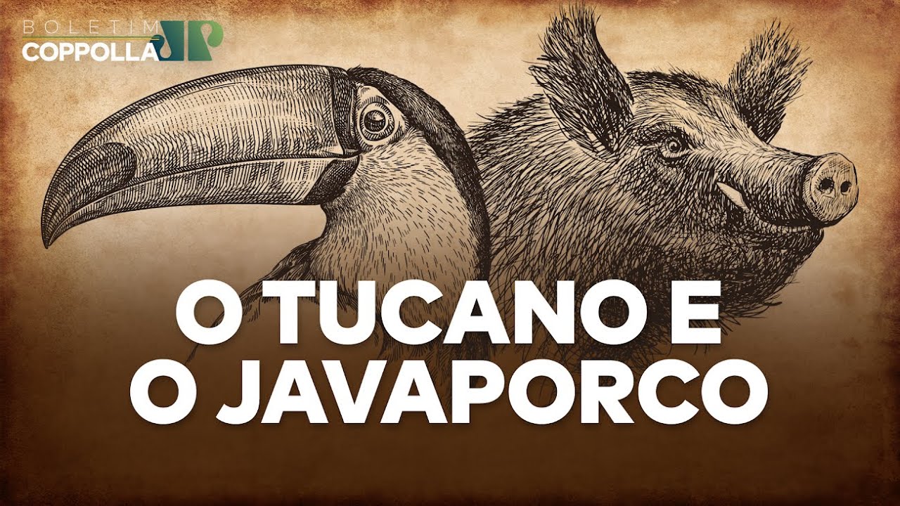 O Tucano e o JavaPorco – Boletim Coppolla n.067 (11/04/2022)