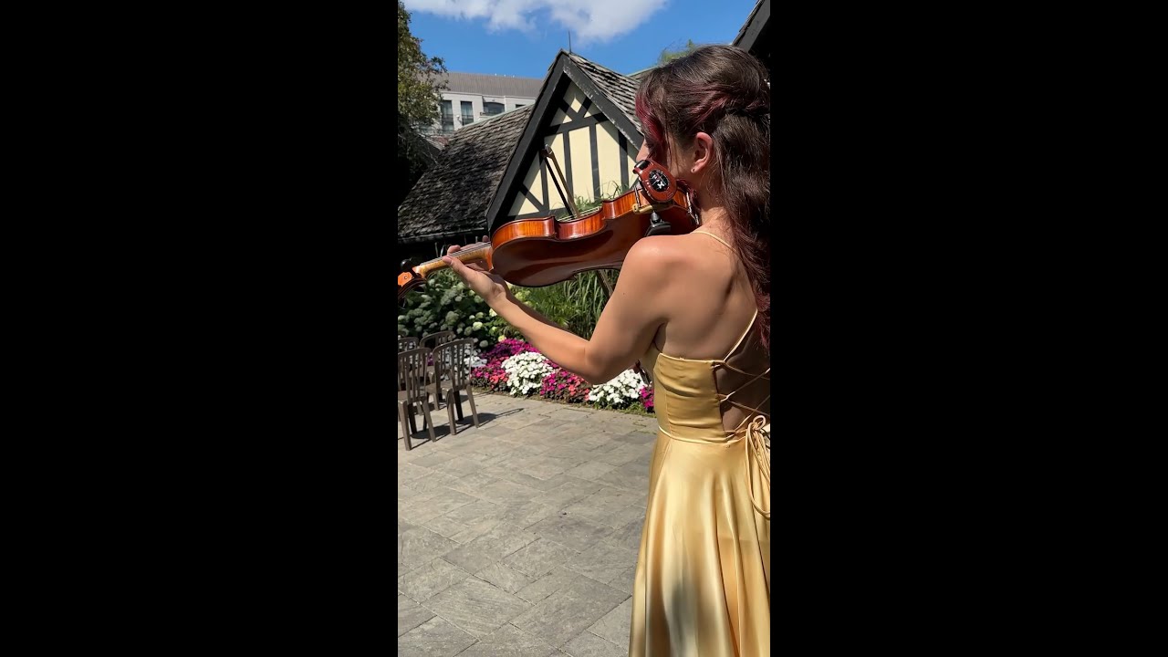 What a Wonderful World - by Wonder Violin