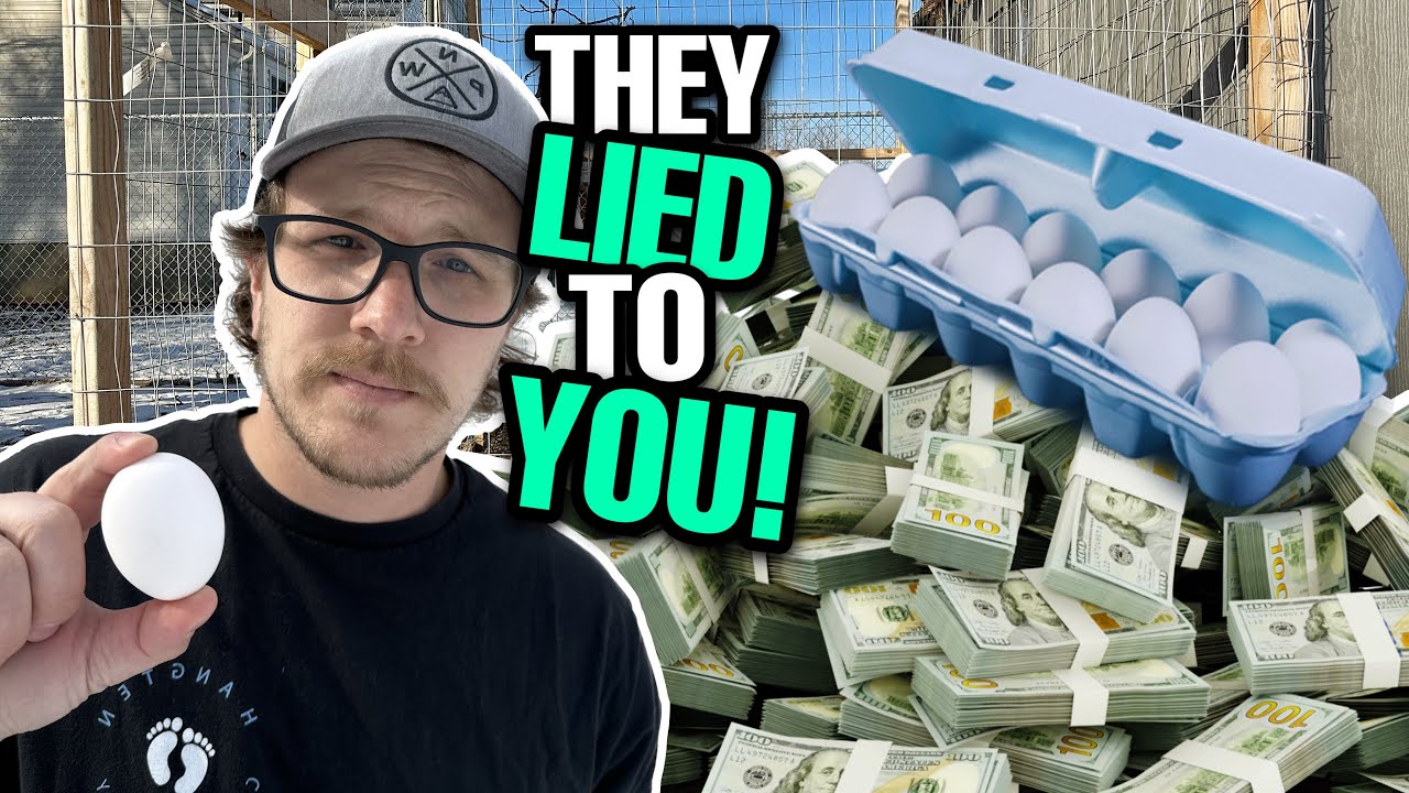 The TRUTH About Why EGG PRICES Are RISING | And How We Fix It!