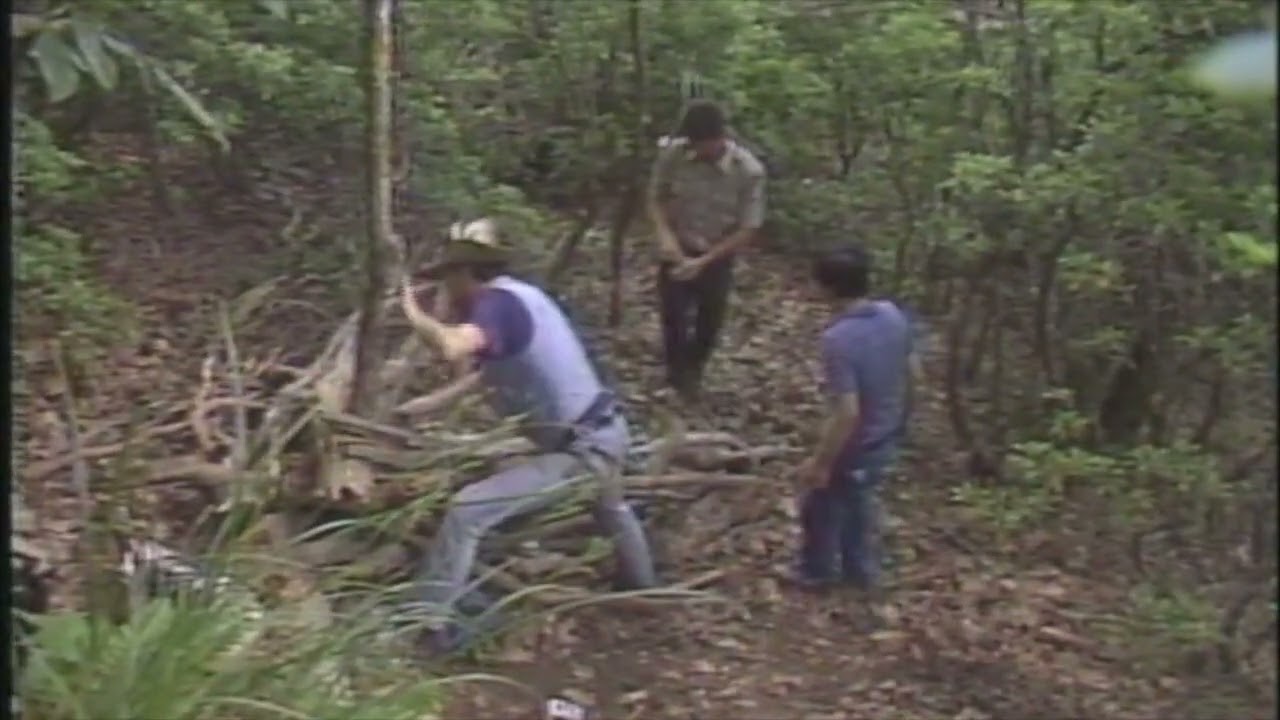 Black Bear Ecology-MWS&T-1980s Reports