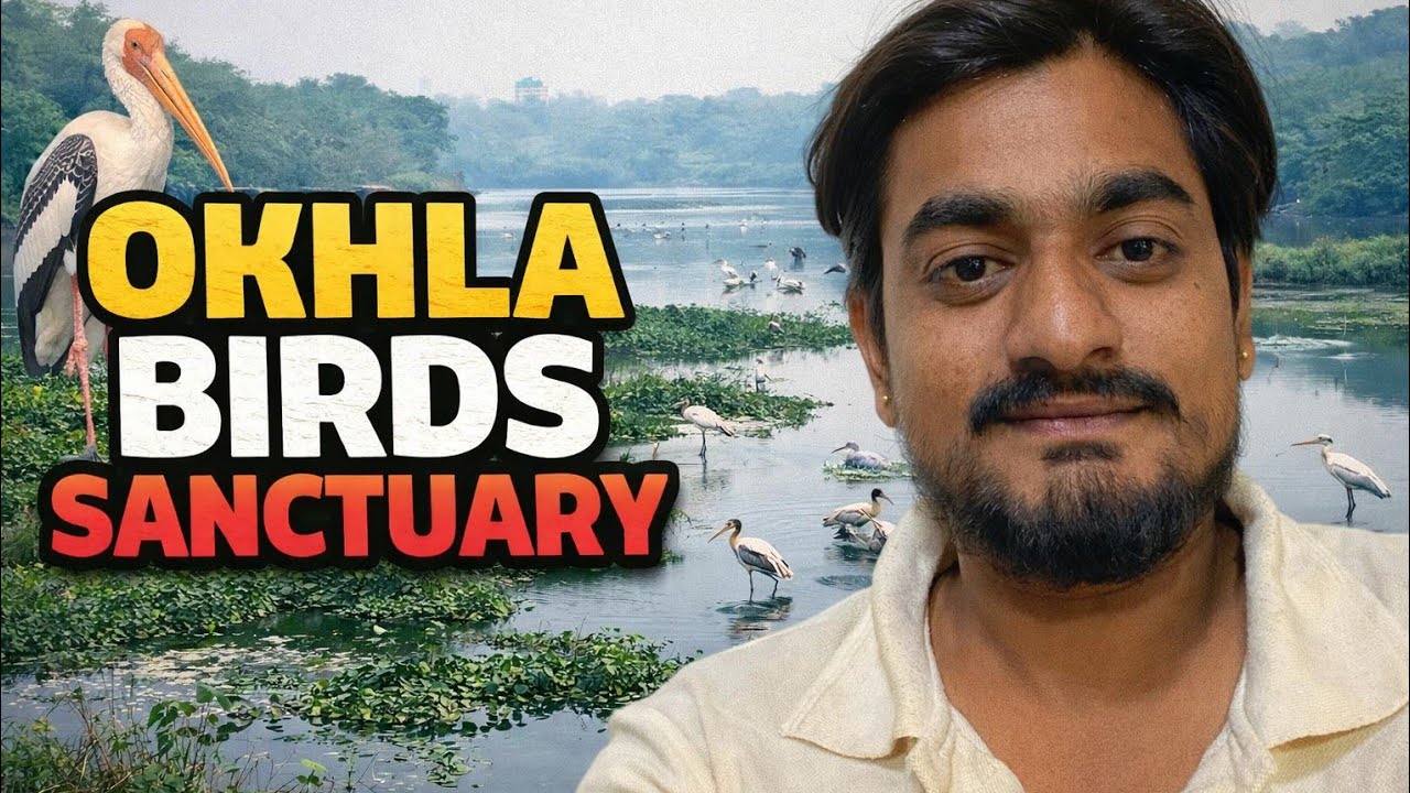 OKHLA BIRDS SANCTUARY #nature #birds#