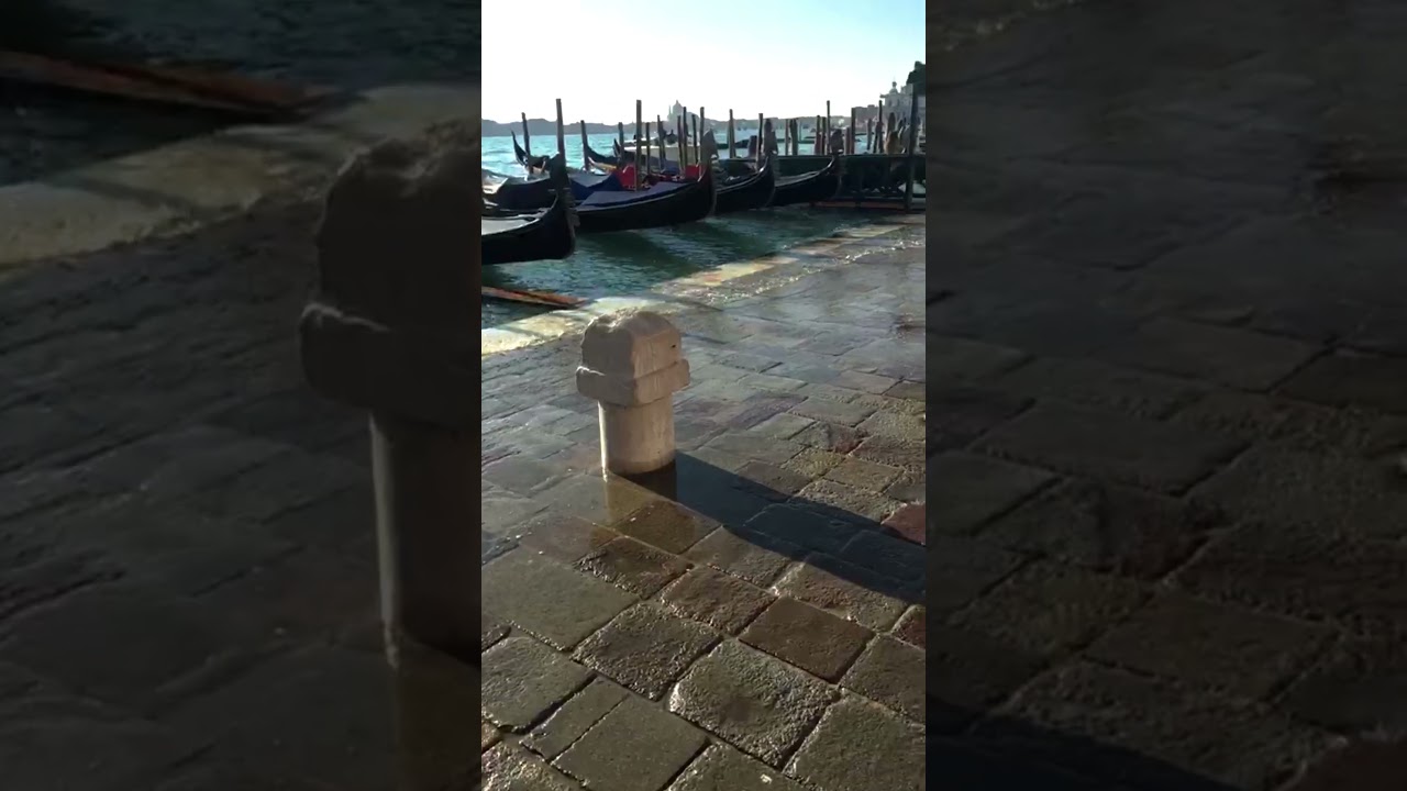 Venetian Tides 🇮🇹