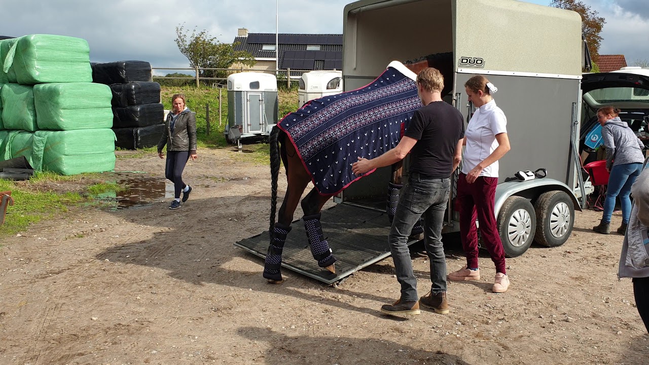 Eerste keer trailer laden met ons paard team kanjer