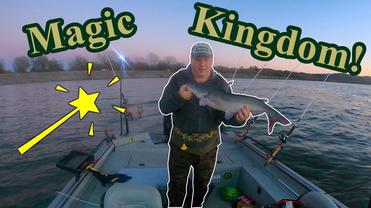 Fishing the Magic Kingdom: Catfishing with Chicken at Watts Bar Dam!
